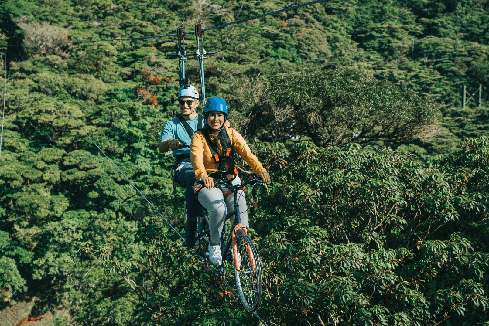 Arboreal Challenge Course