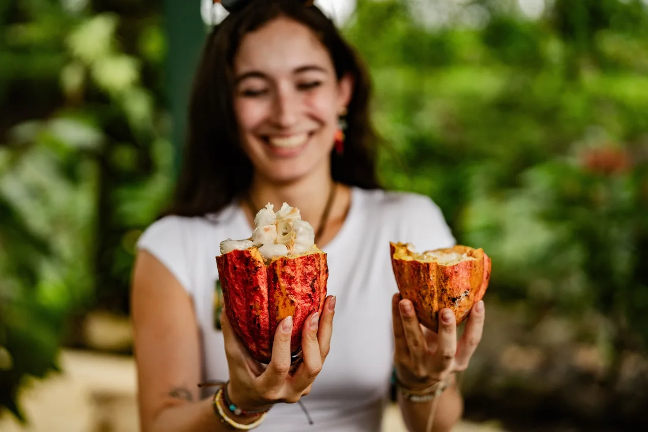 BRITT CACAO TOUR
