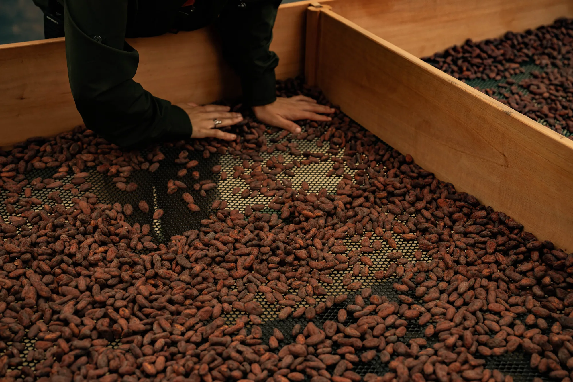BRITT CACAO TOUR
