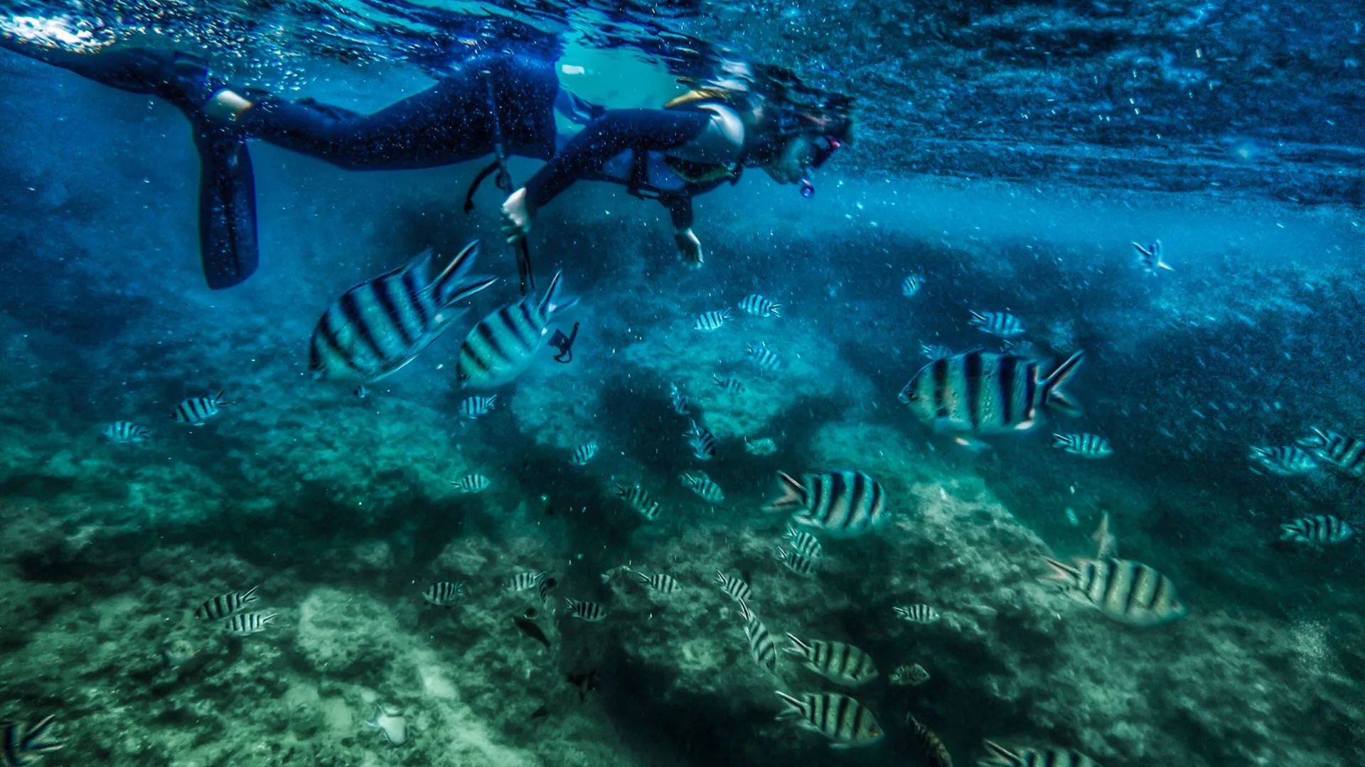 Discover Scuba Diving