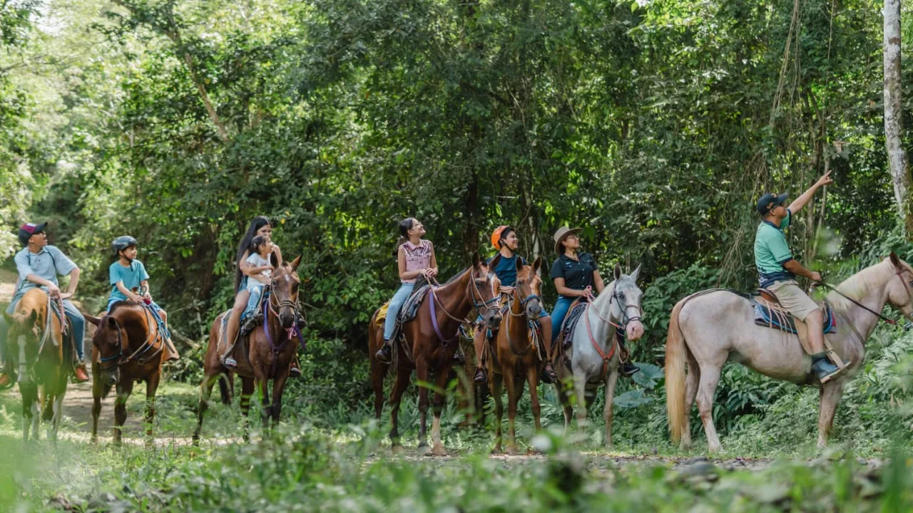Horseback Riding Tour – Waterfall