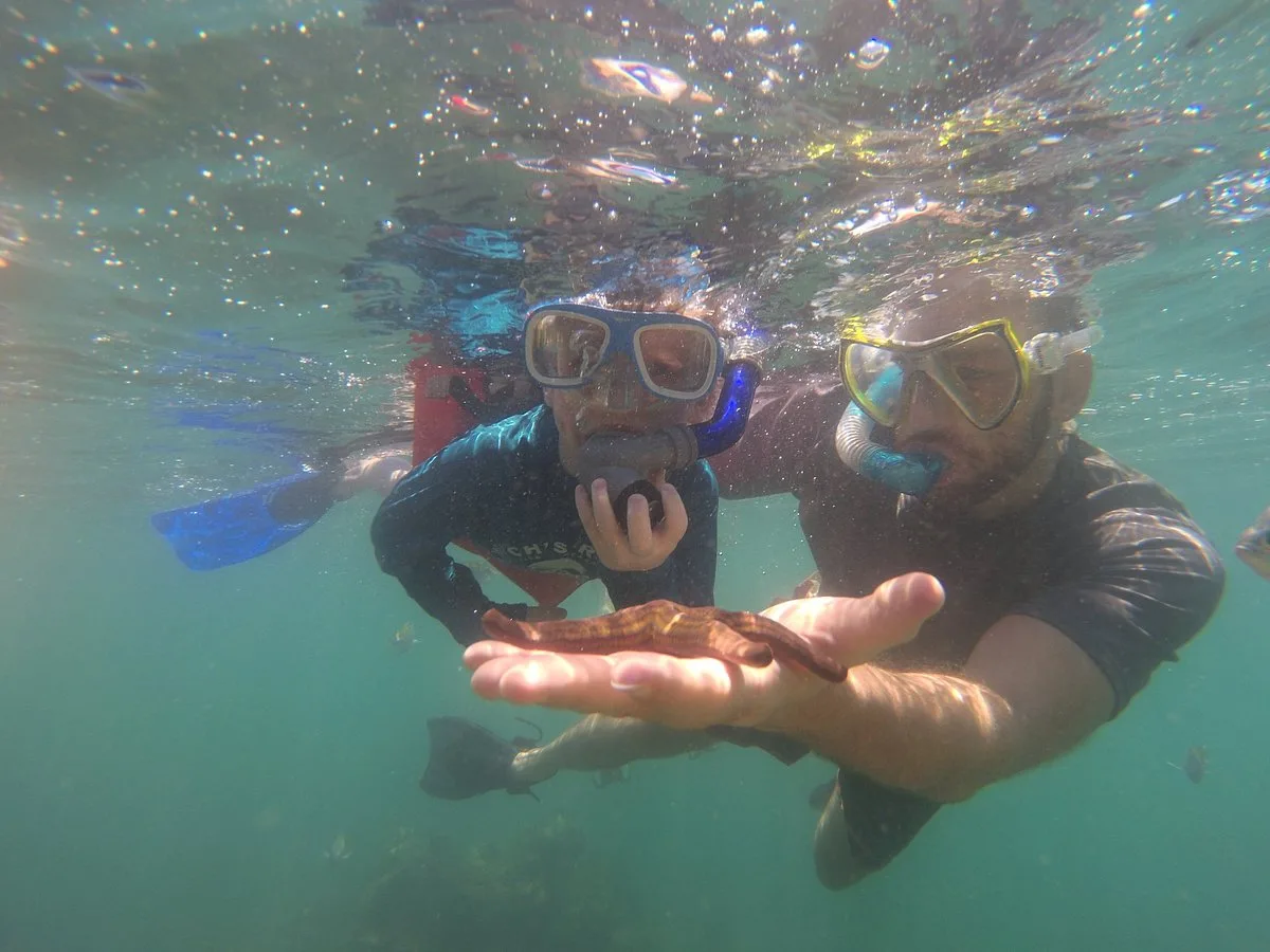 Snorkel Adventure